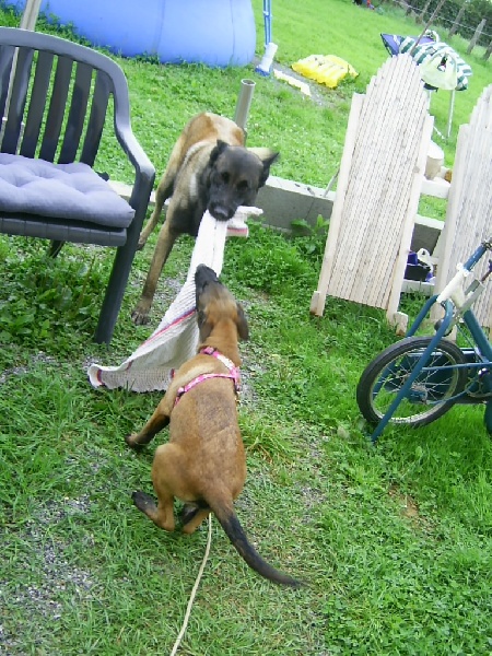 Rambo & Cali